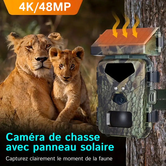 SolCamark