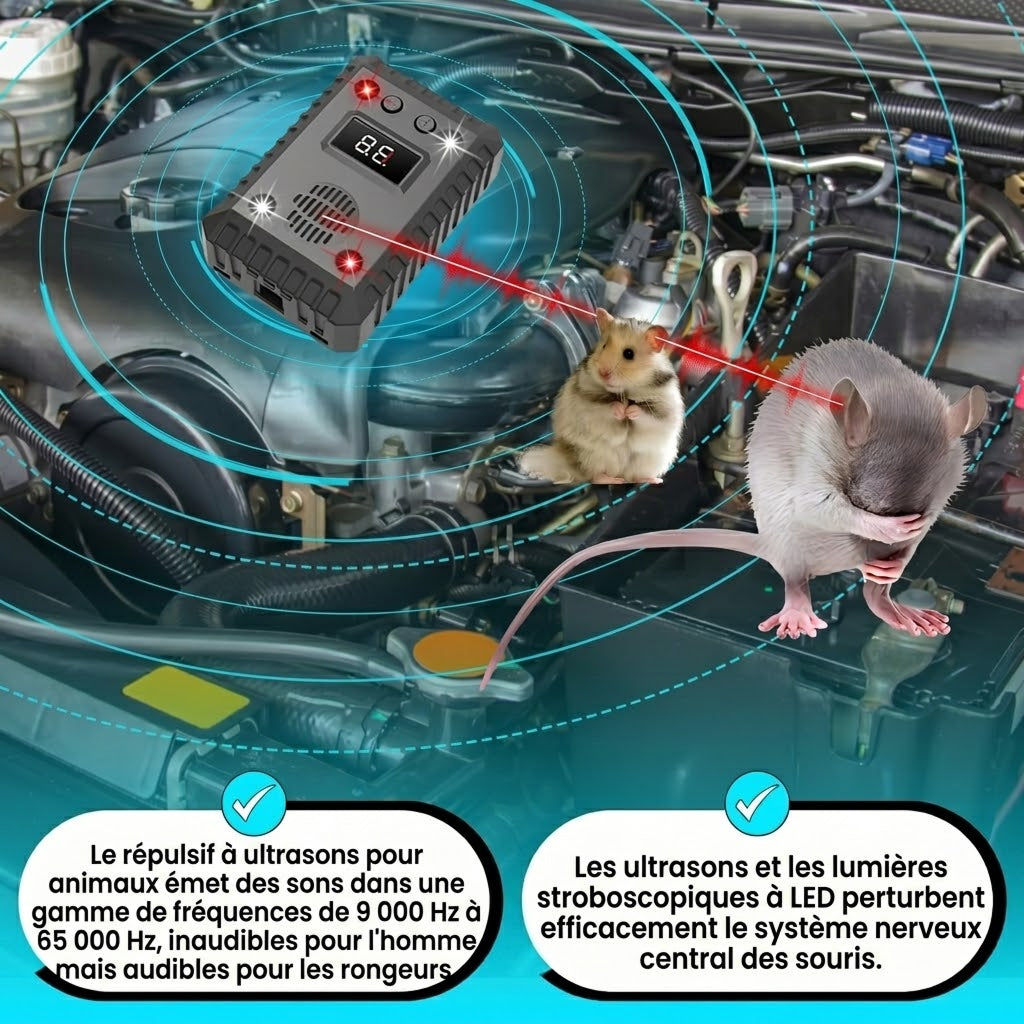 AutexRat