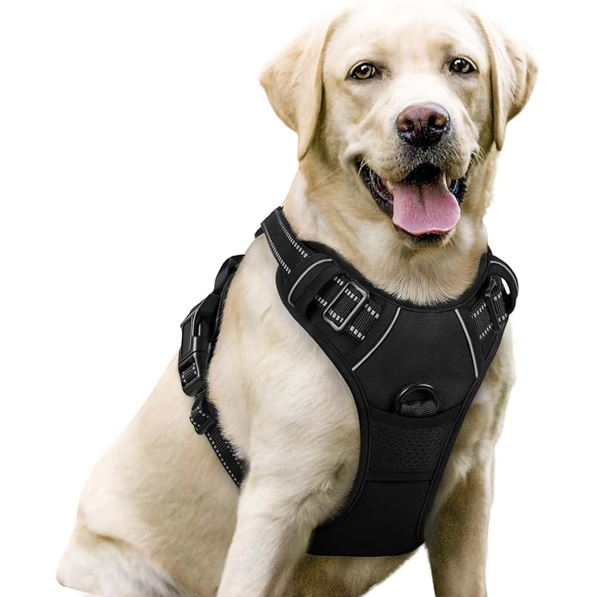 Doghamex