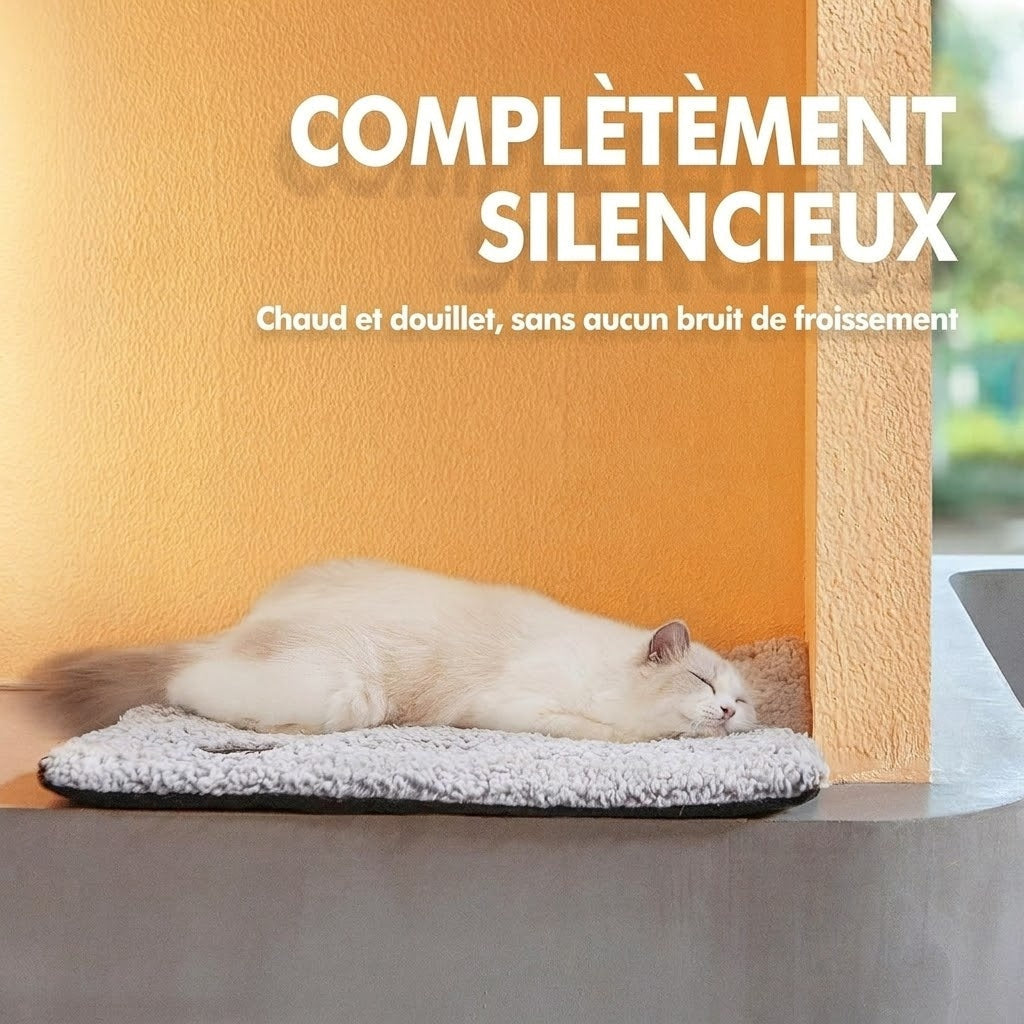 CozixCat