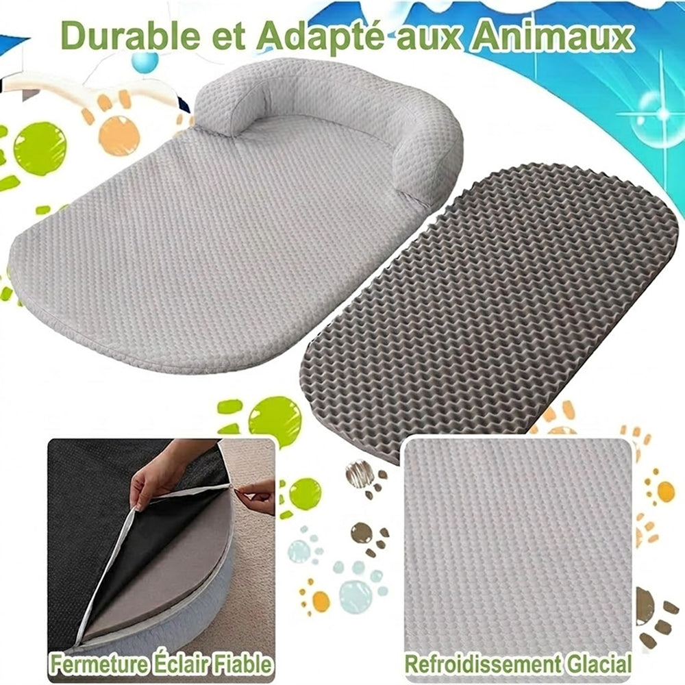 CoolasPet