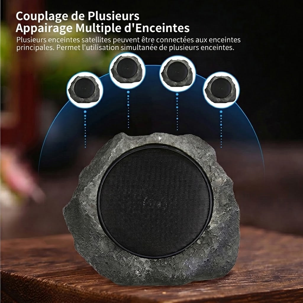 SunRoxax
