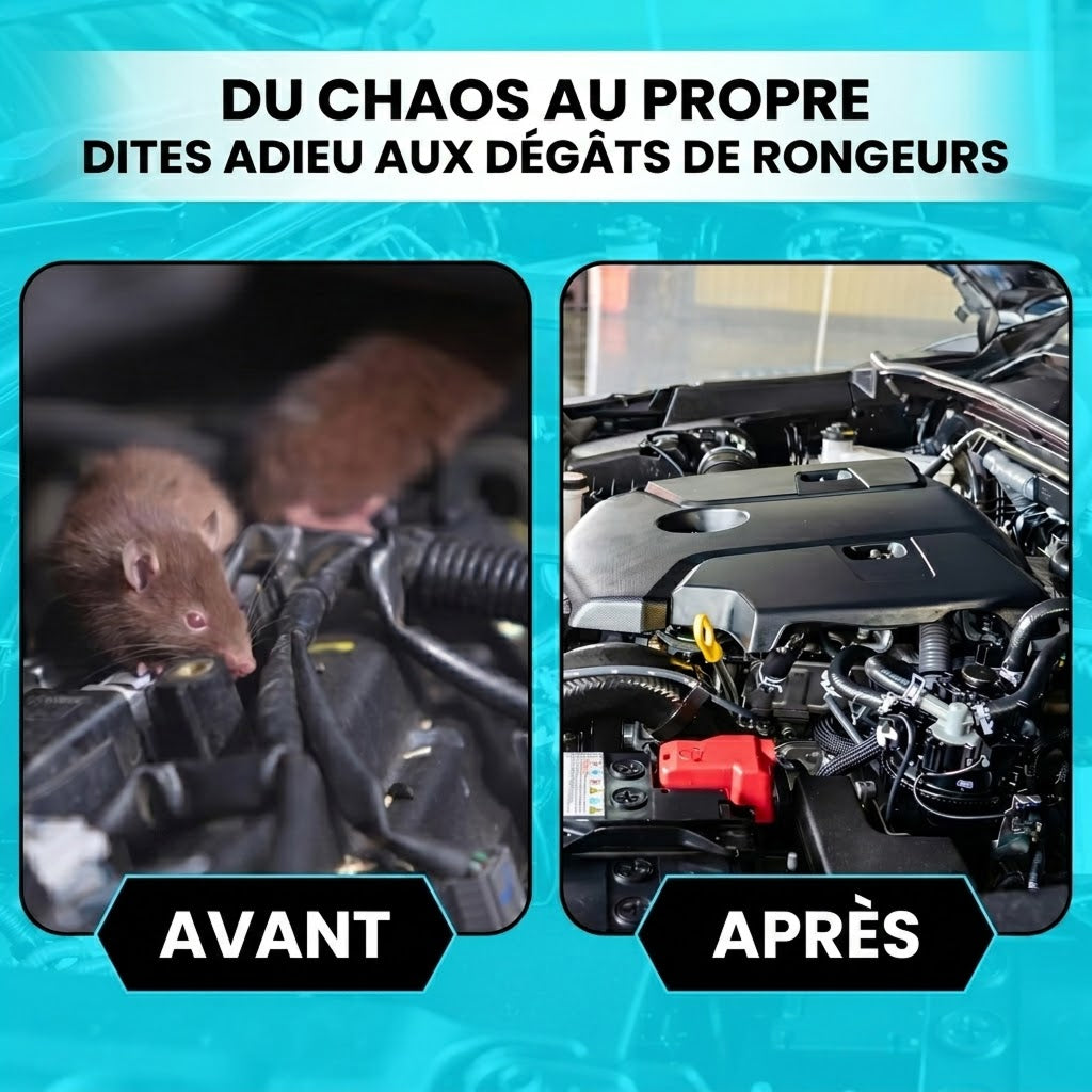 AutexRat