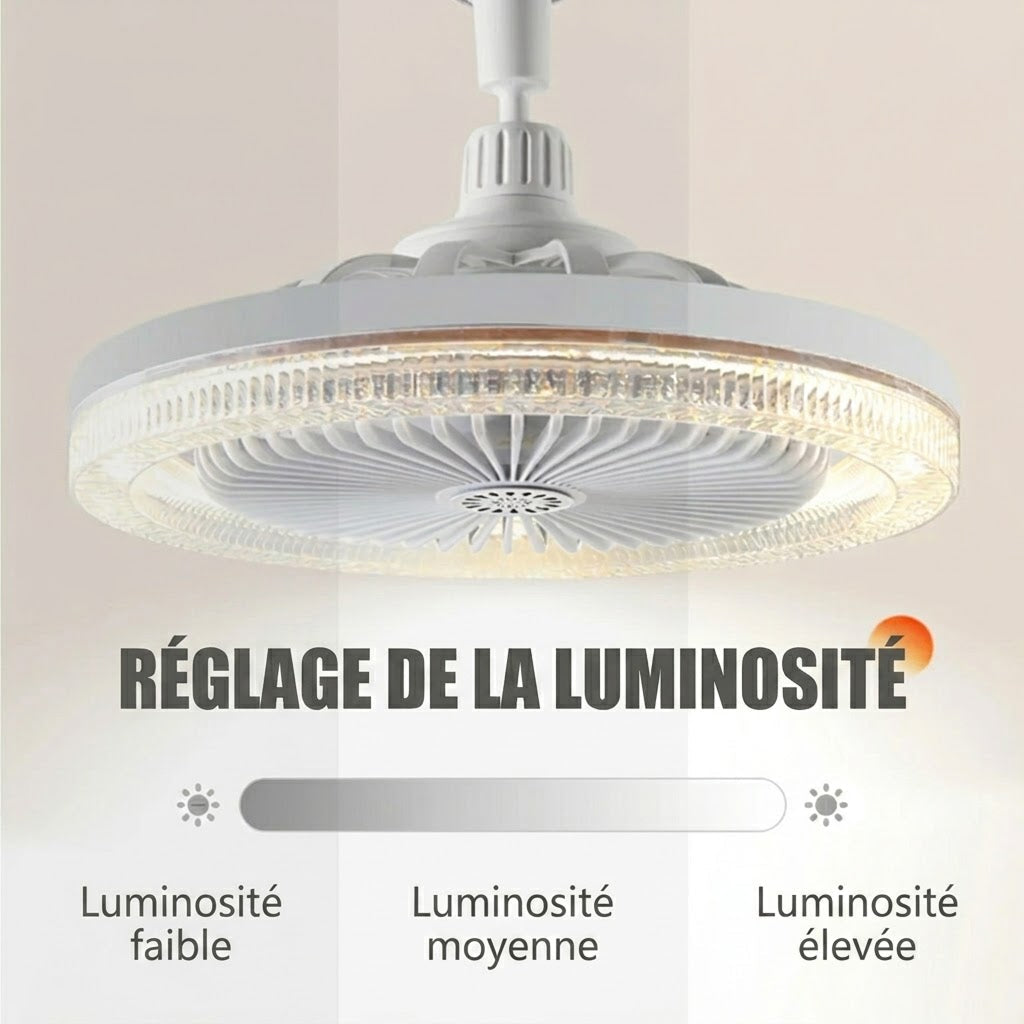 LumaoFan