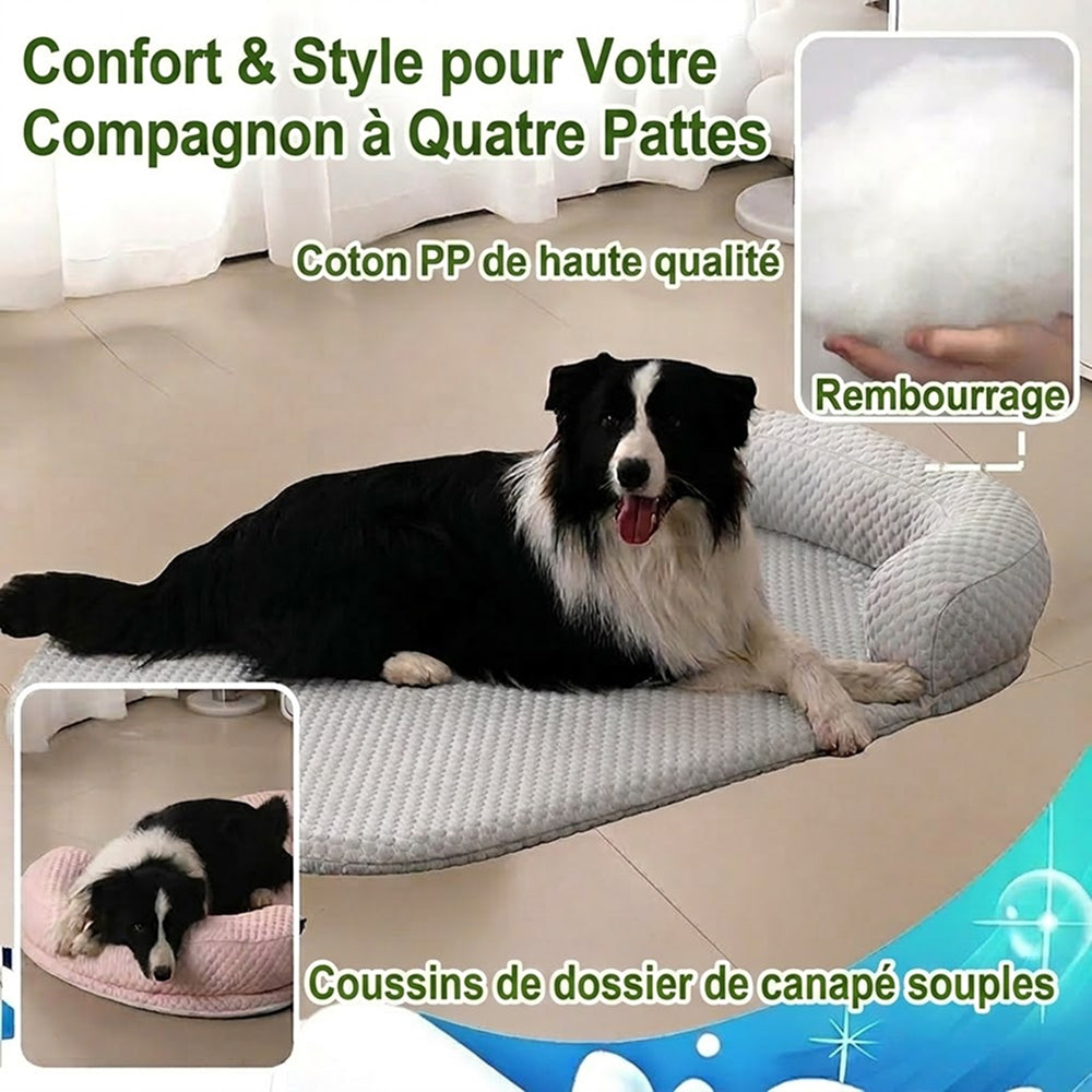 CoolasPet
