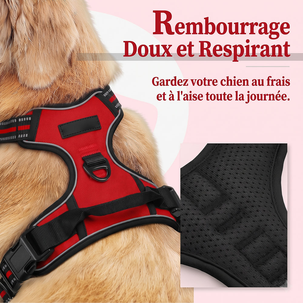 Doghamex