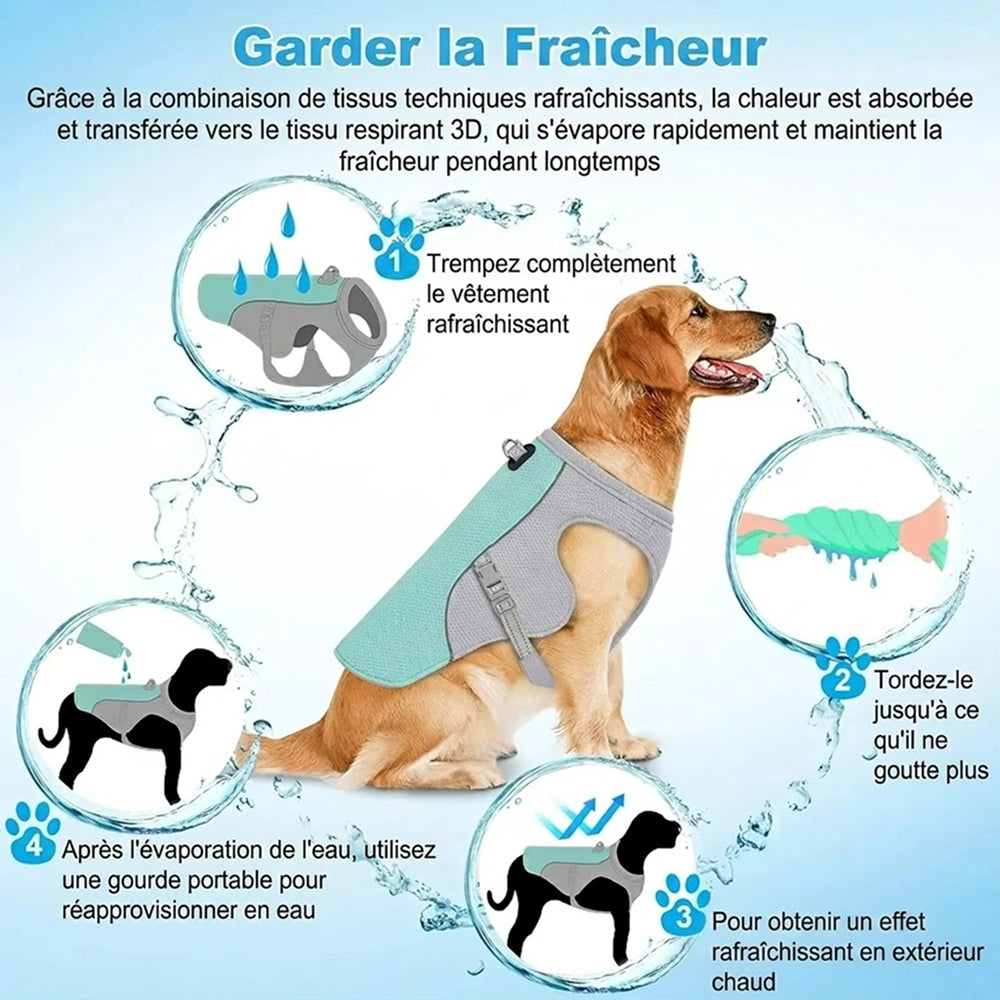IcyBarce