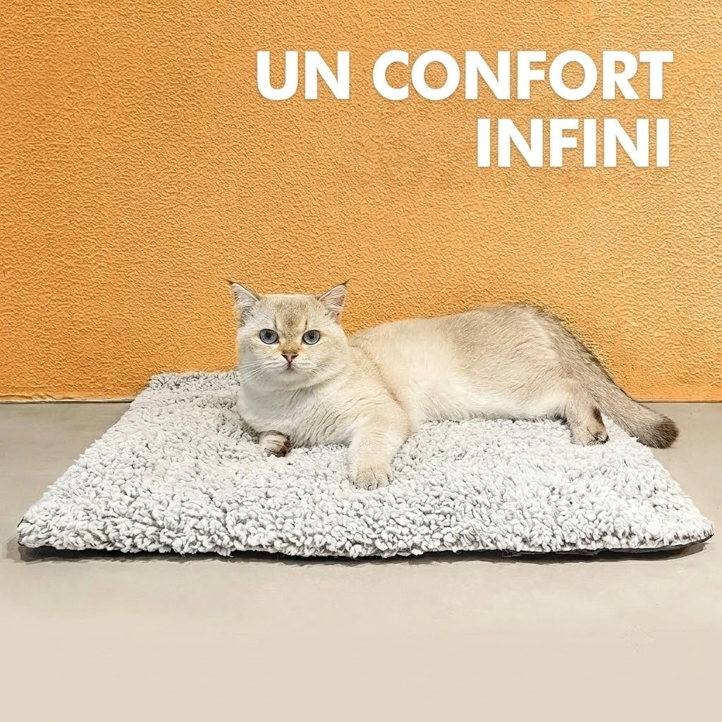 CozixCat