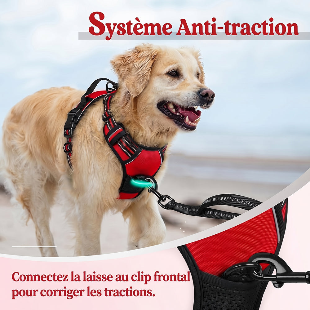 Doghamex