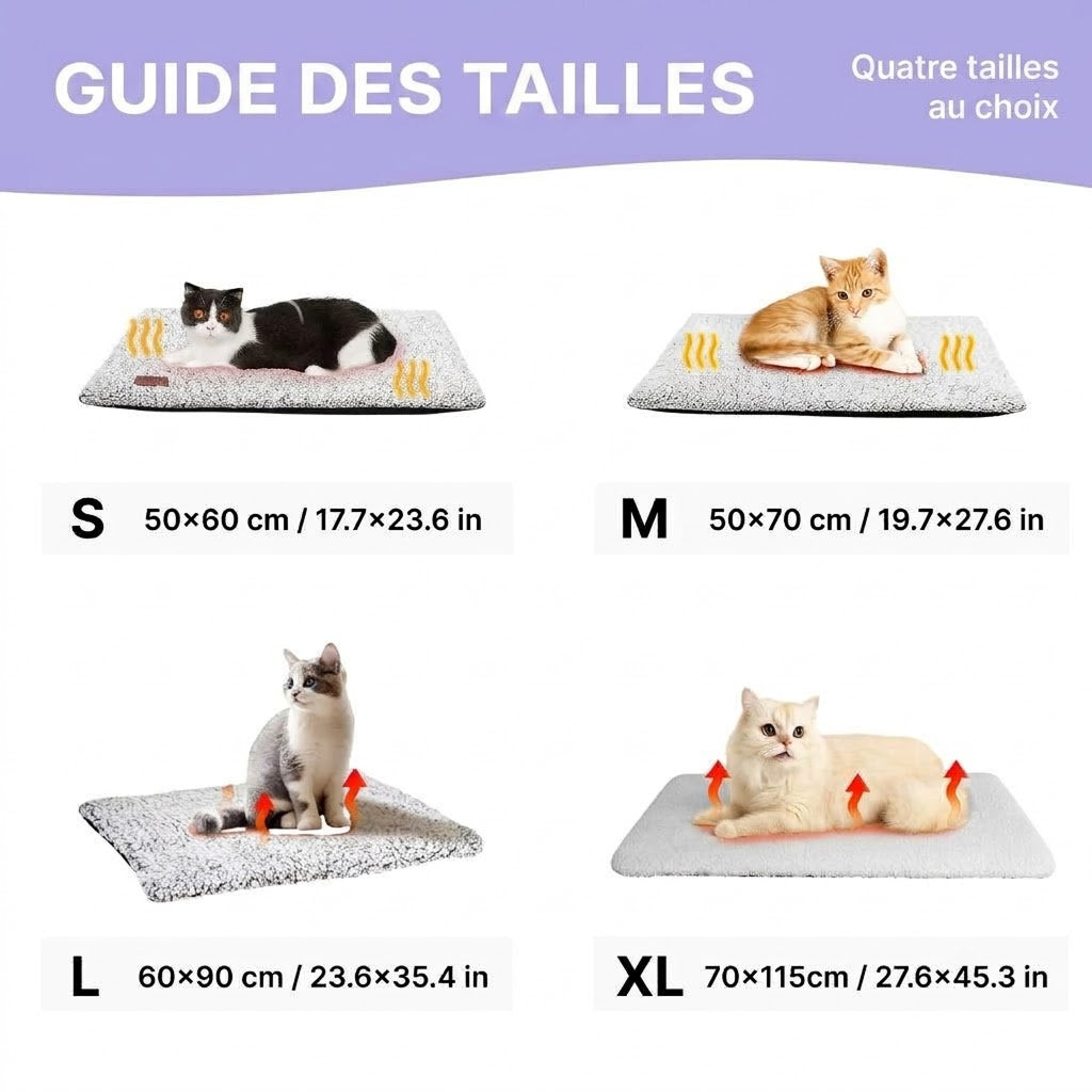 CozixCat