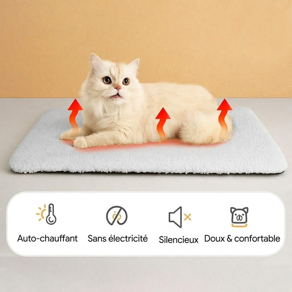 CozixCat