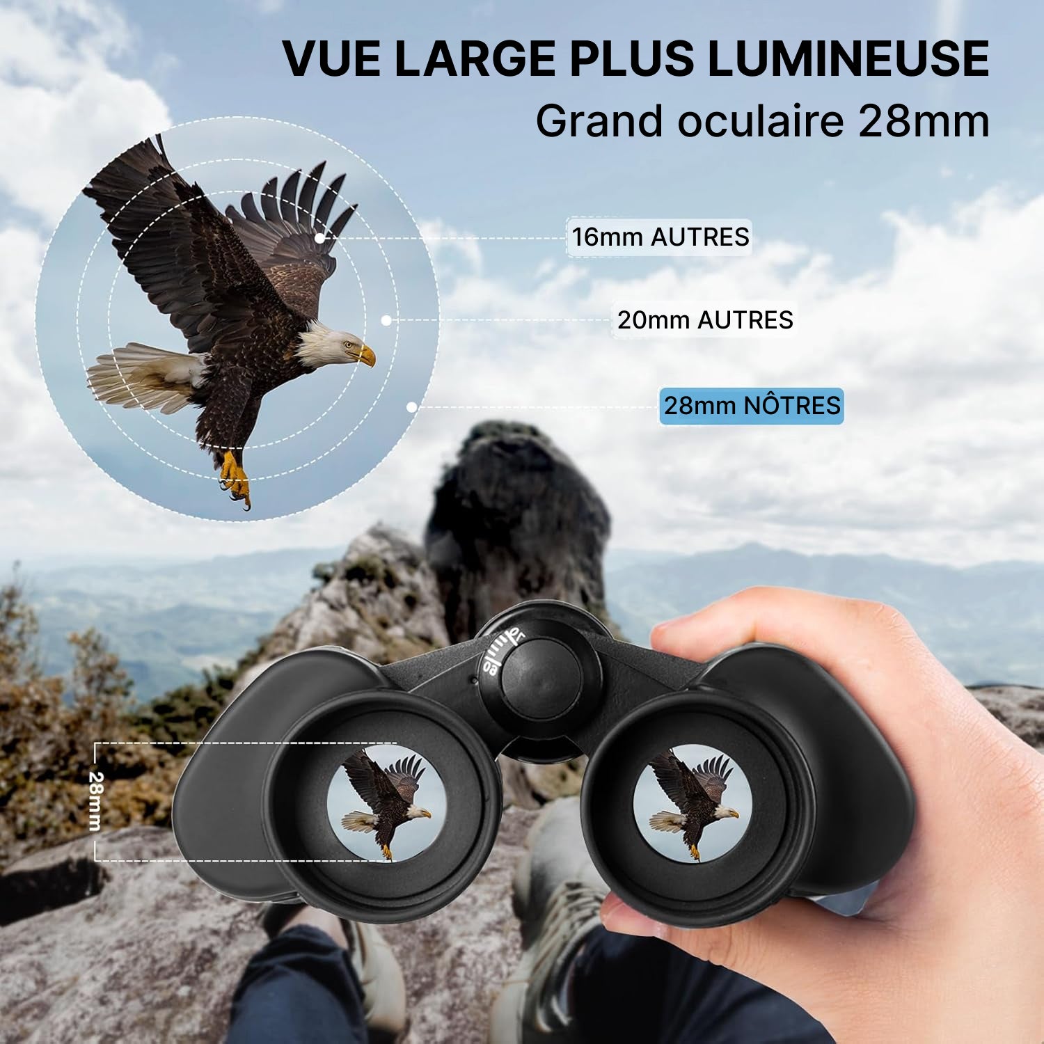 AviZoome