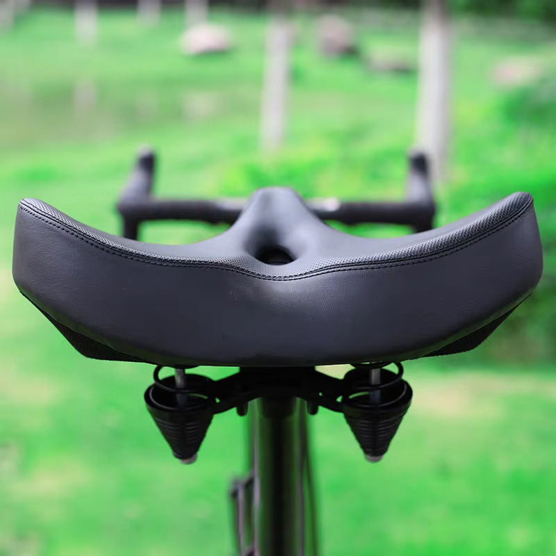 BlisRide