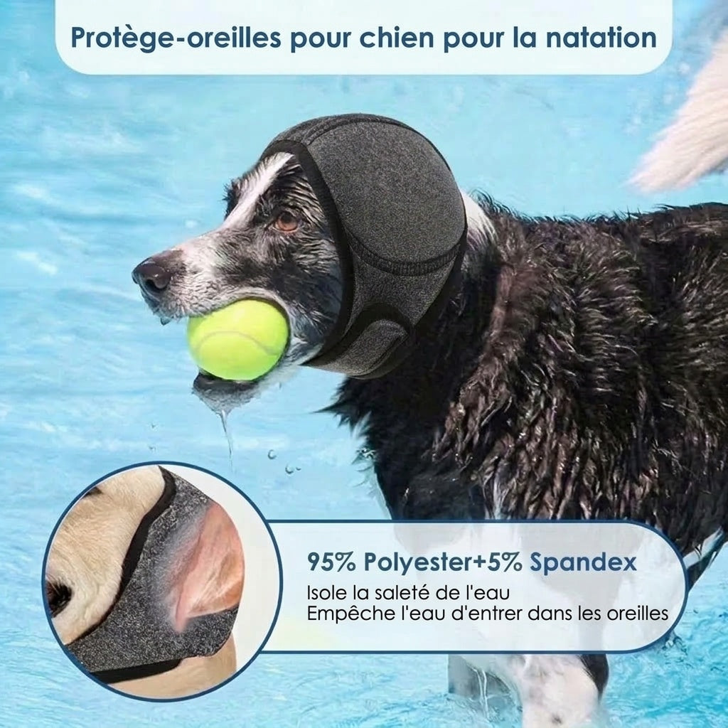 EarPupies
