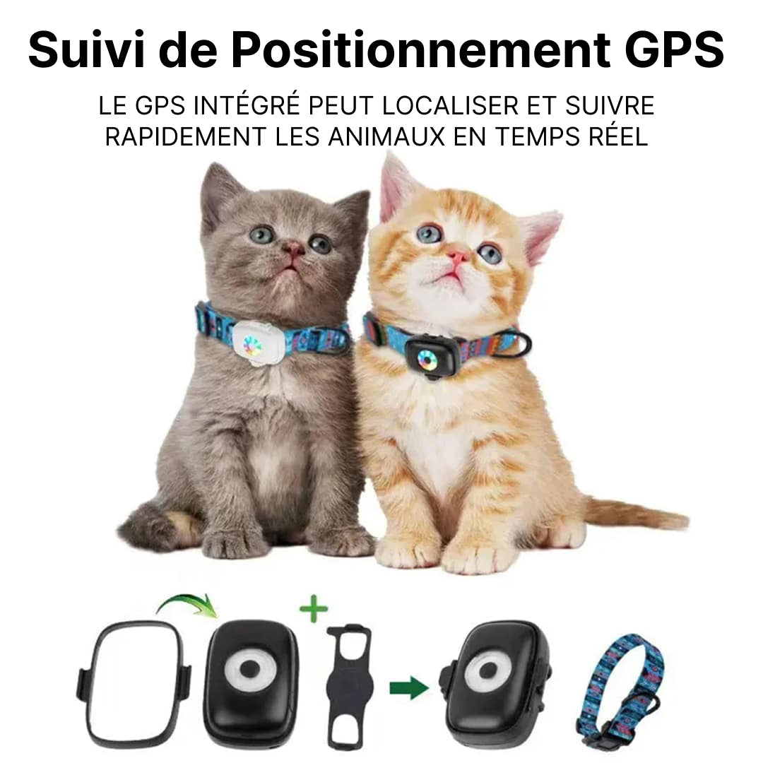 ChatMote