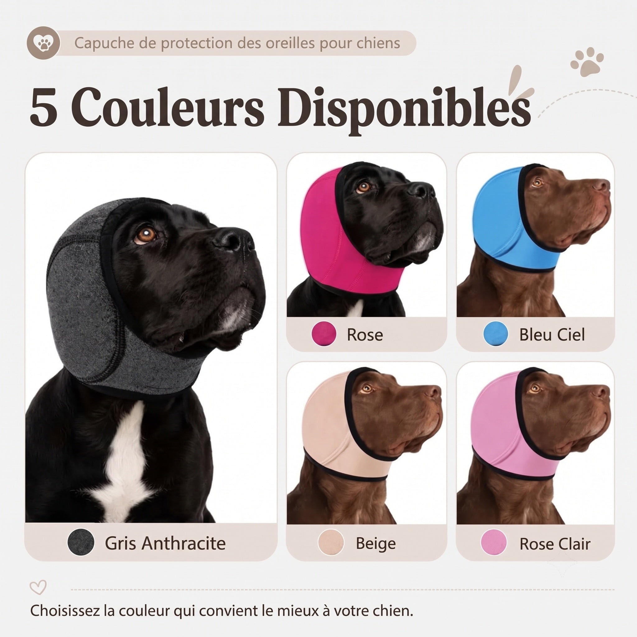 EarPupies