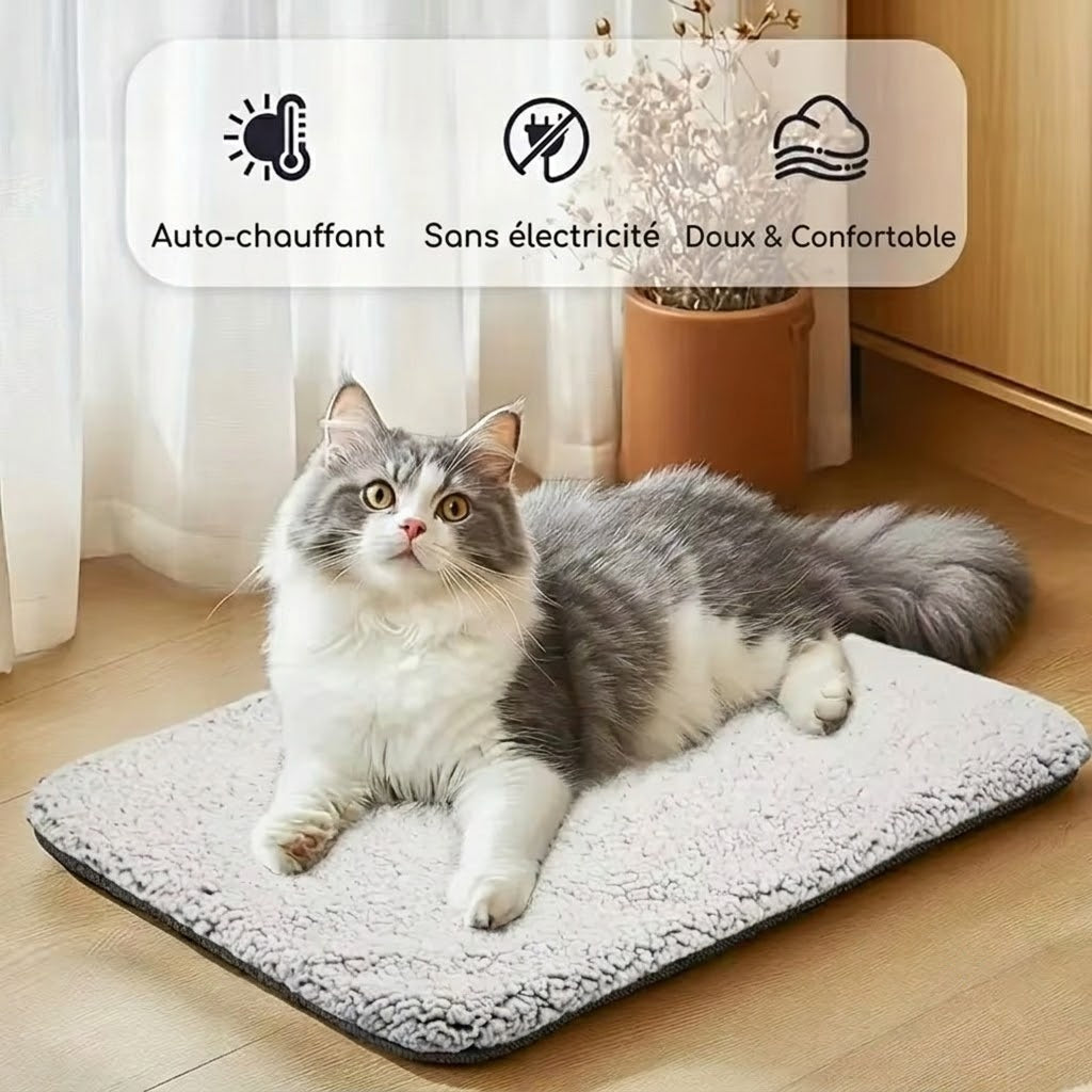 CozixCat