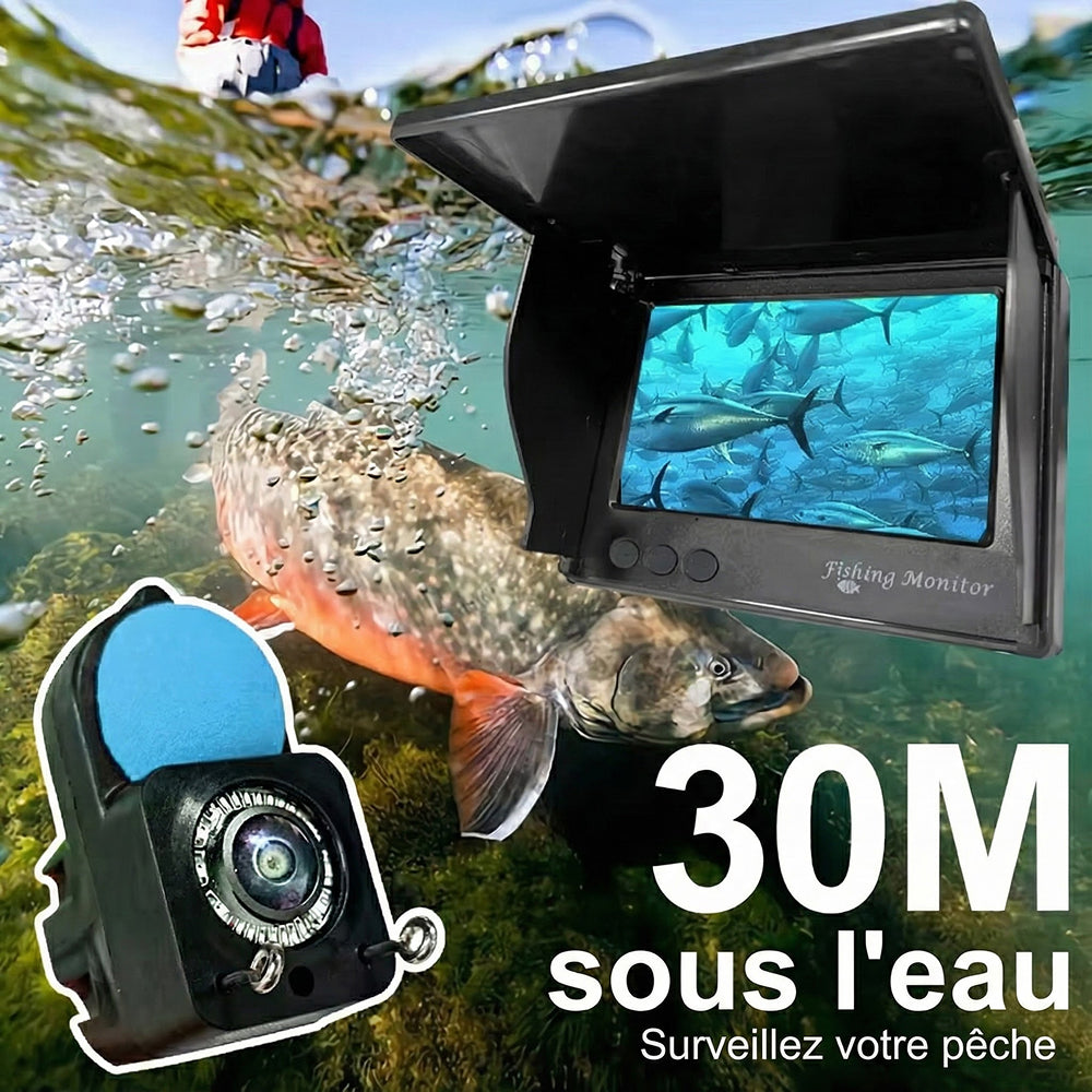 DiveVuse