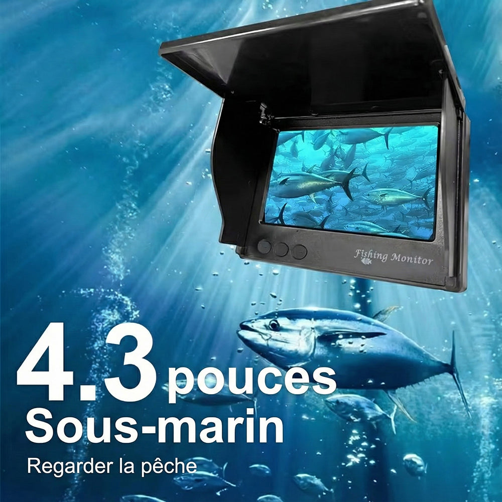 DiveVuse