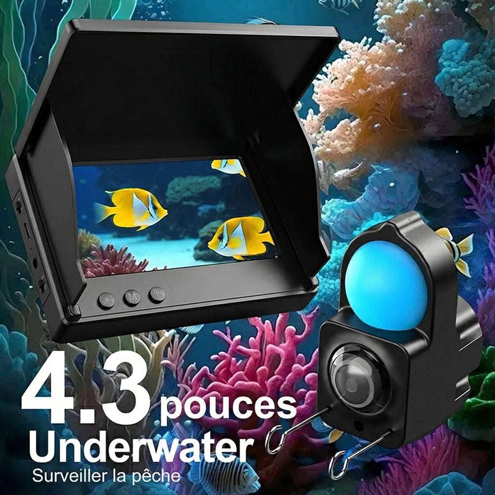 DiveVuse