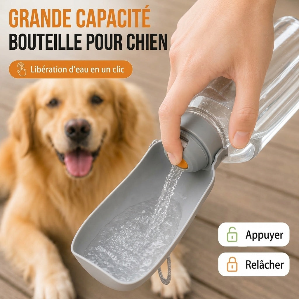 DogSiply
