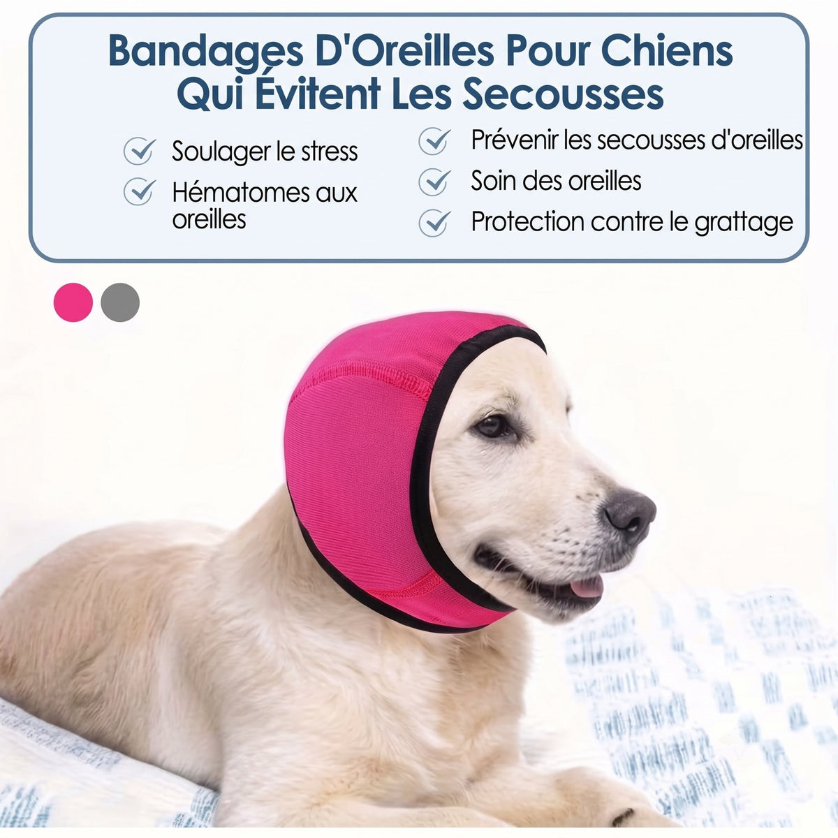 EarPupies
