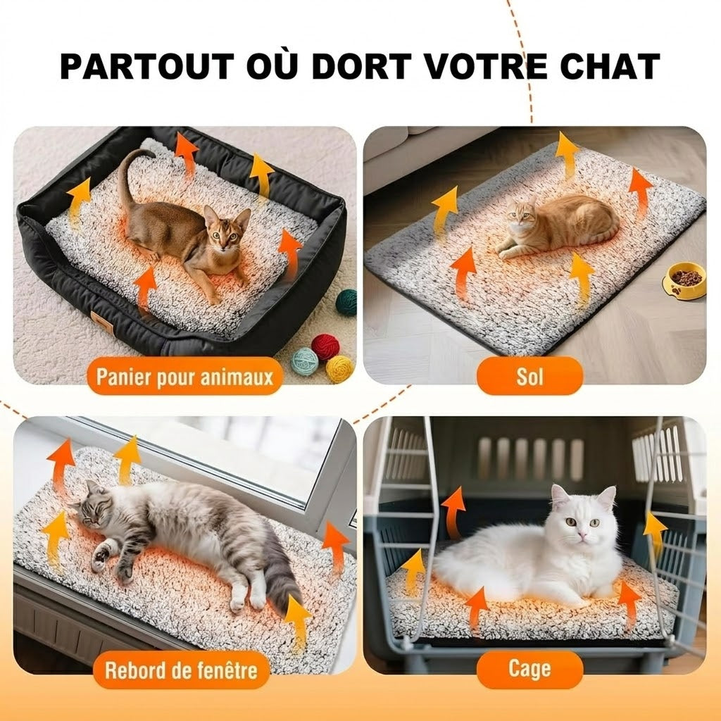 CozixCat