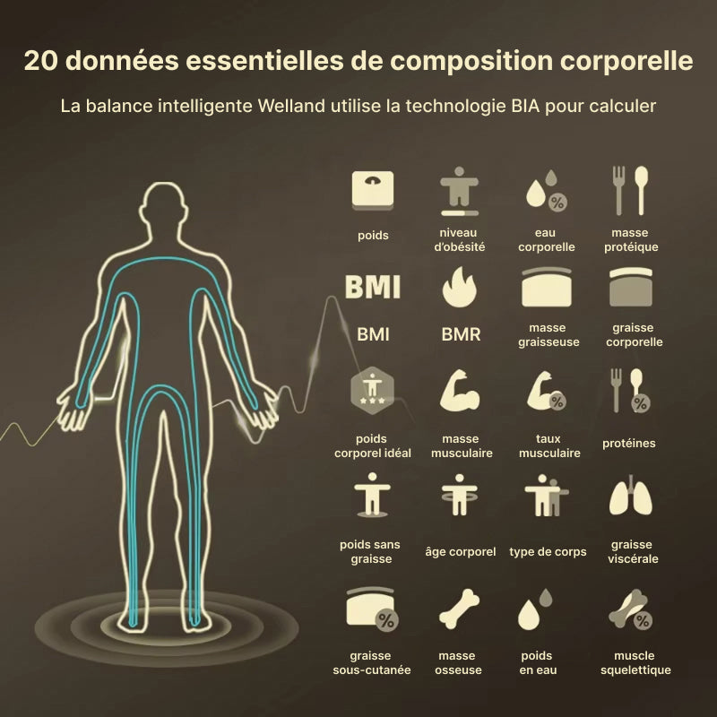 FitgMazz Pèse Personne Masse Graisseuse