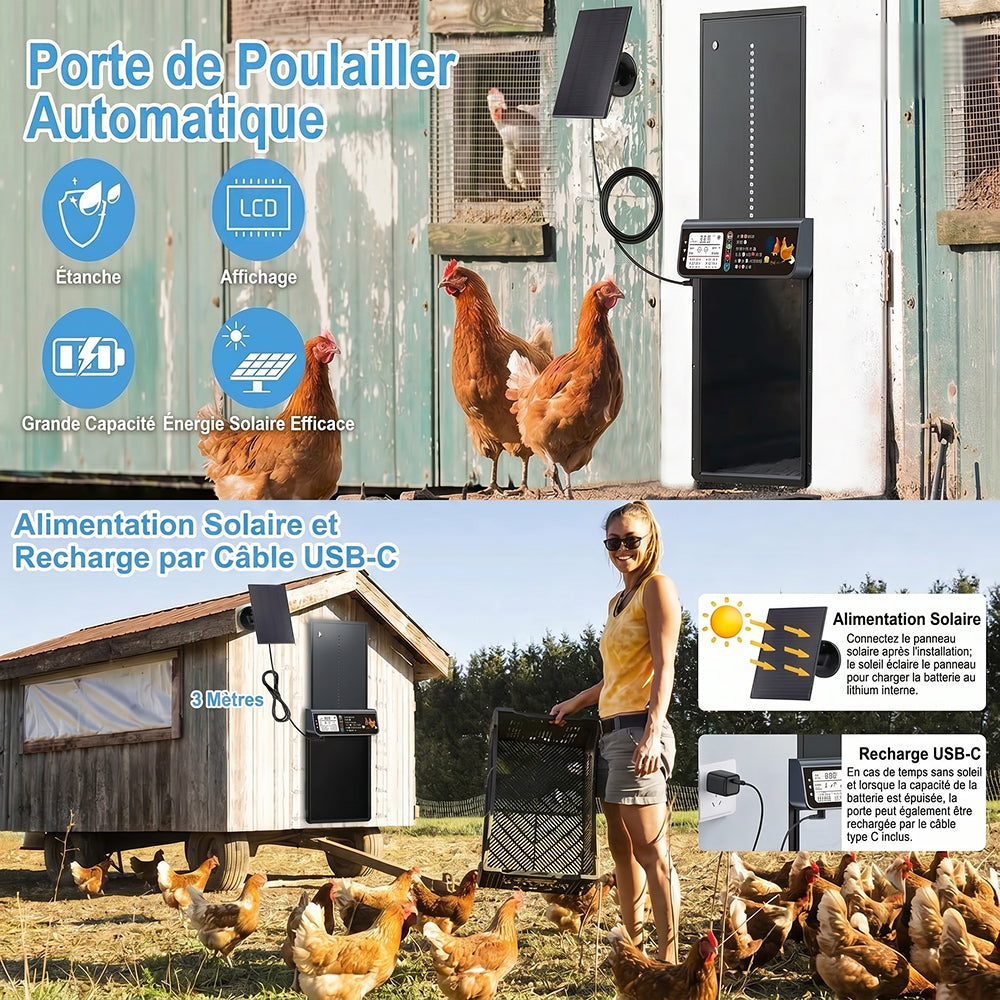Helicubet