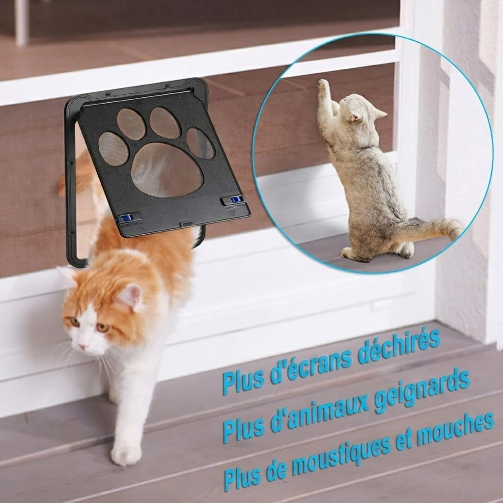 PupiPassi