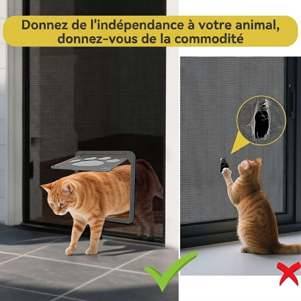 PupiPassi