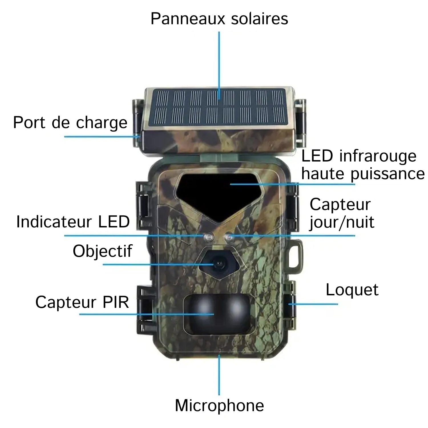 SolCamark