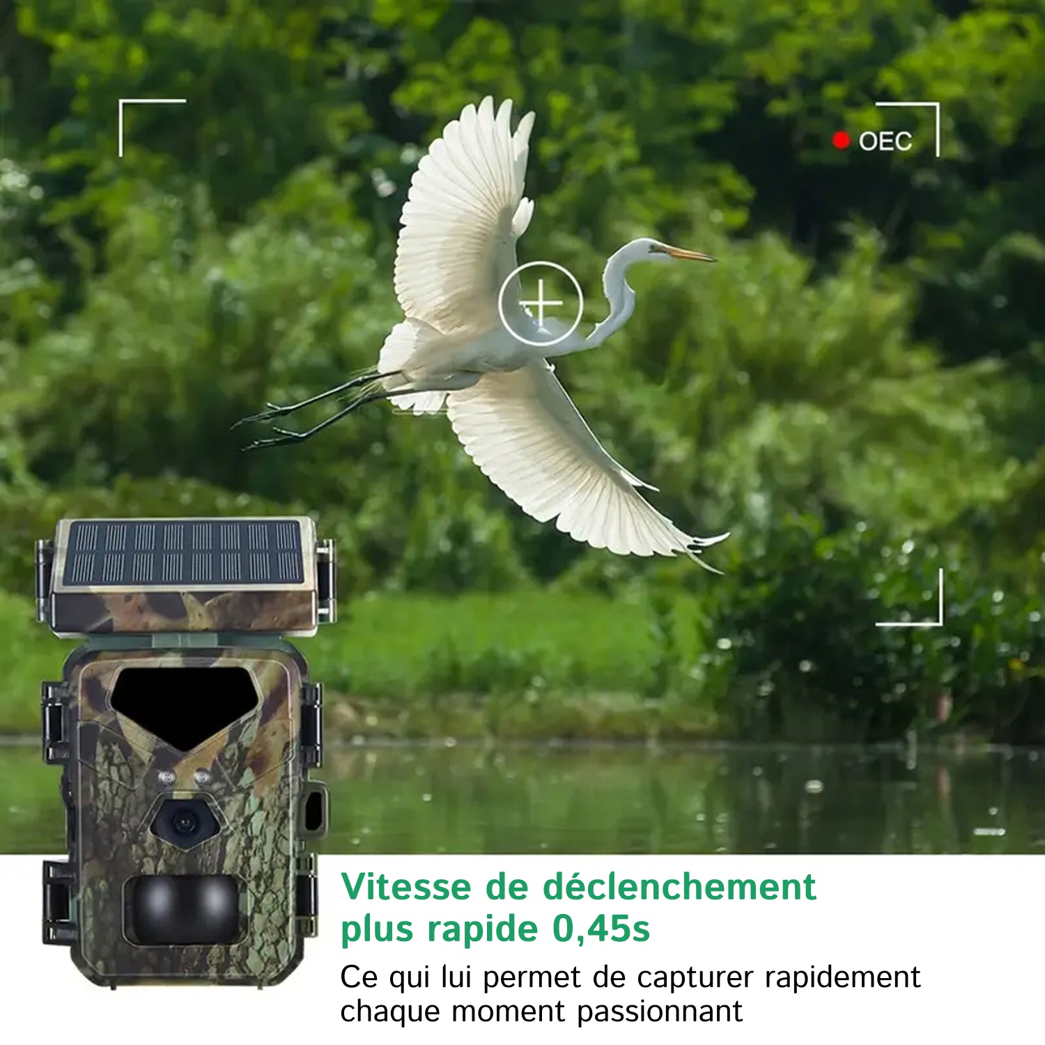 SolCamark