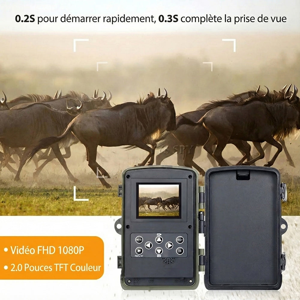 TrailCamet