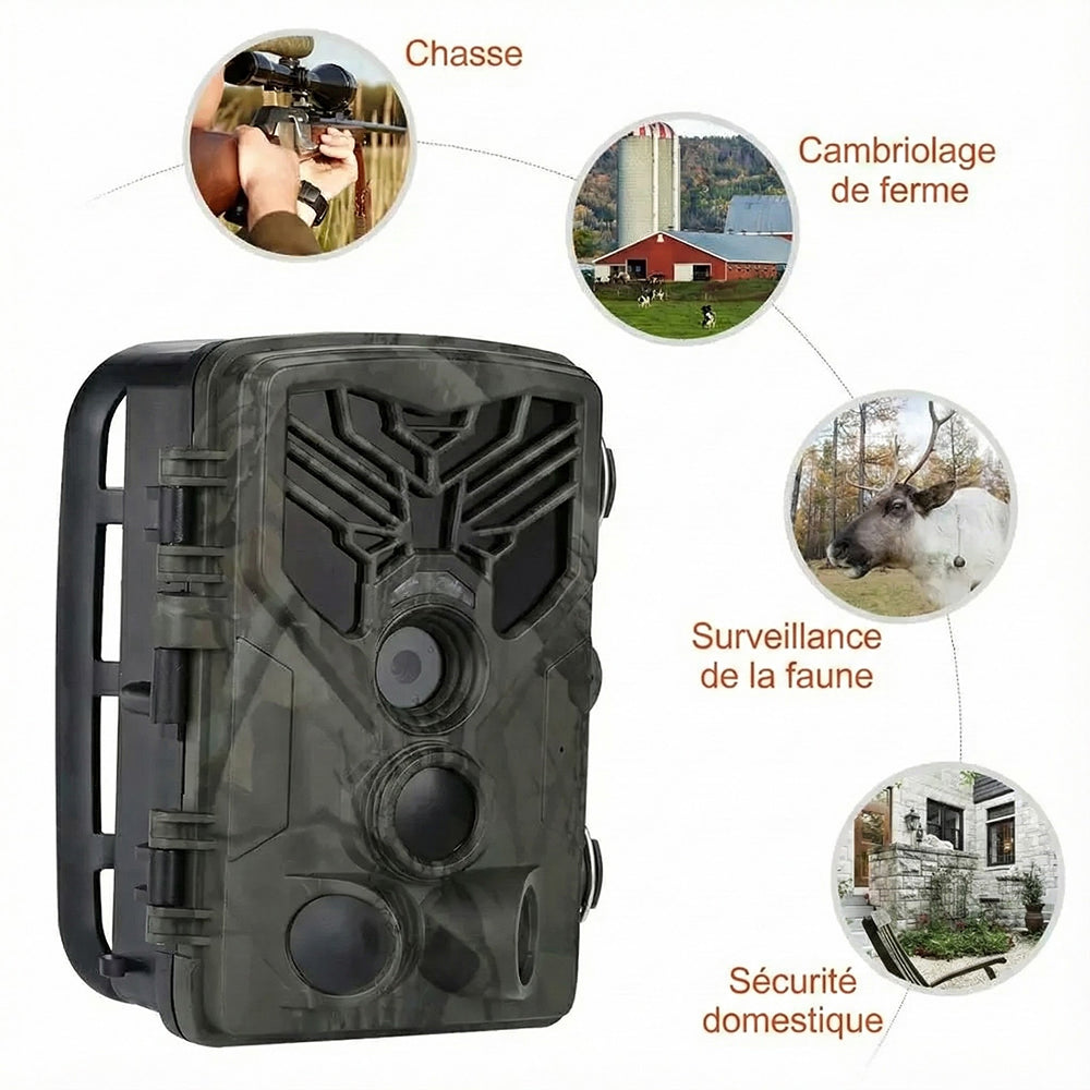TrailCamet
