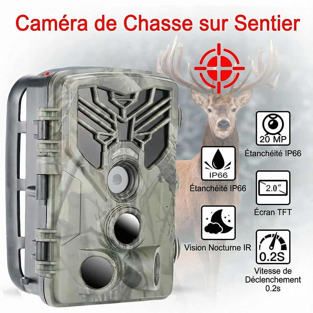 TrailCamet