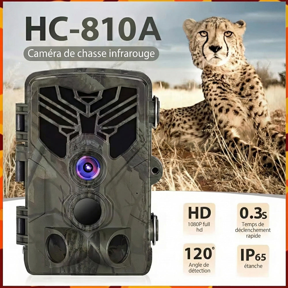 TrailCamet